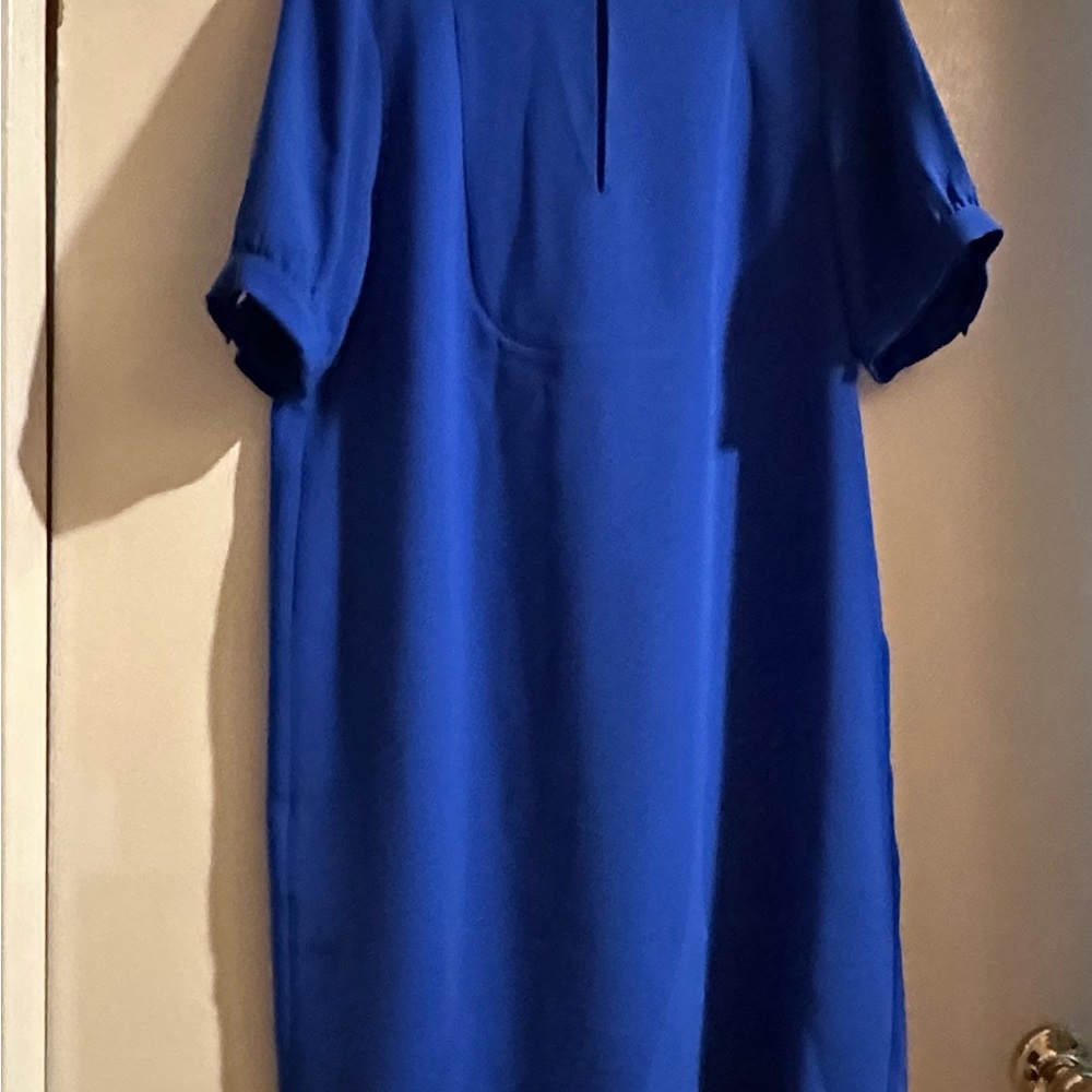 J. Crew Vibrant Blue Garment
